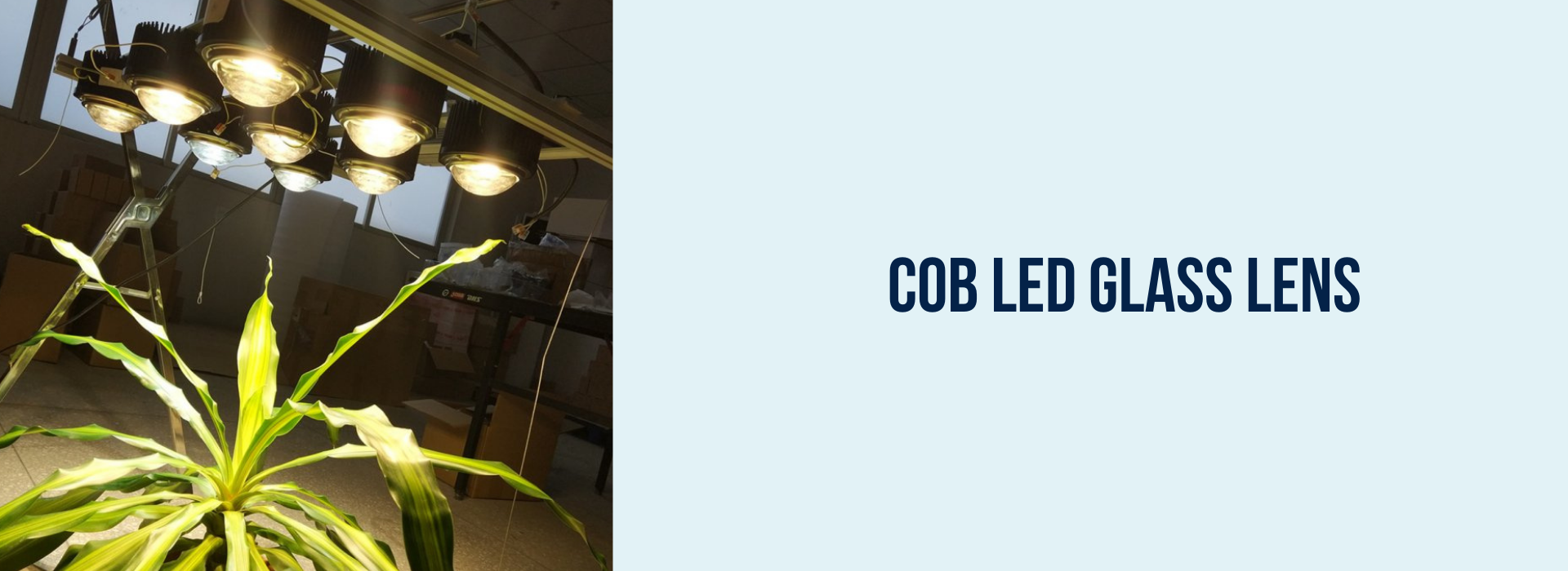 cob glass light